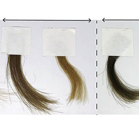 images of different hair samples