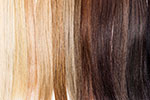images of hair, blonde to black spectrum 