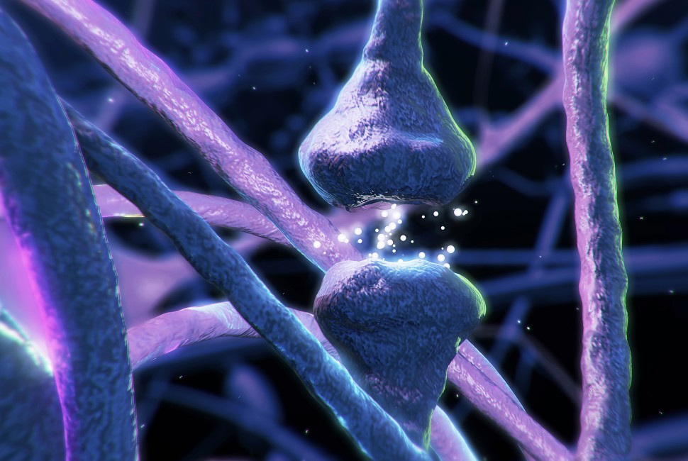 Neuron image from Marks Lab 