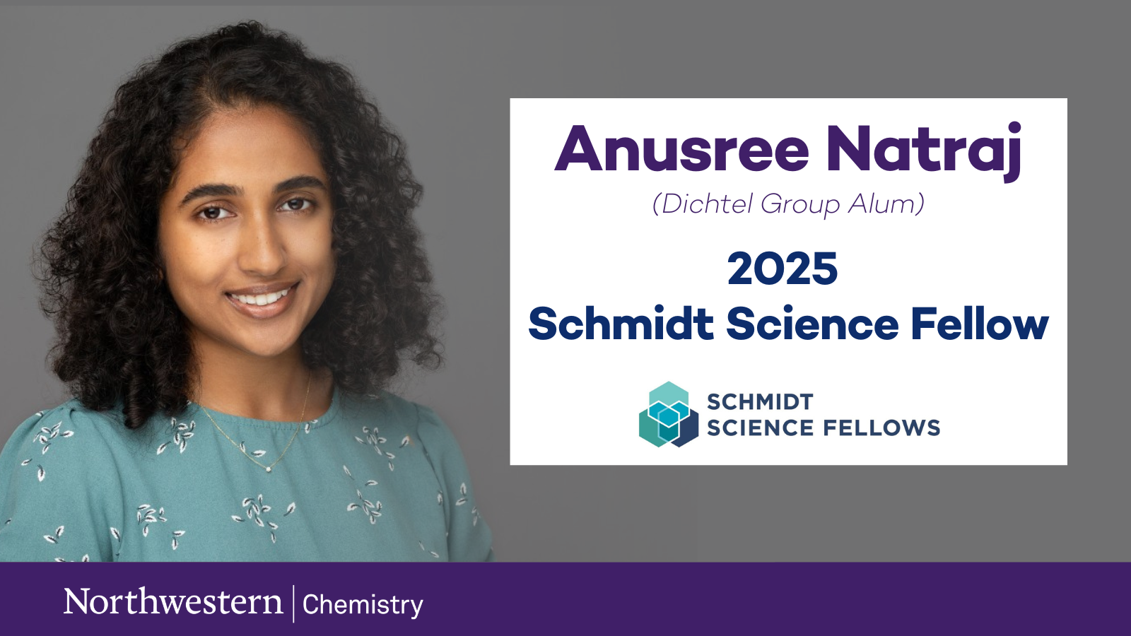 natraj schmidt fellow