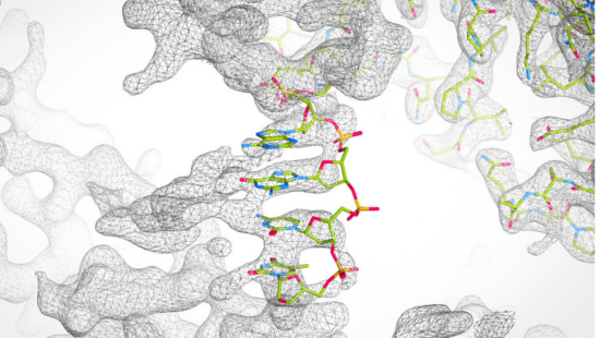 Mirkin DNA Crystalization