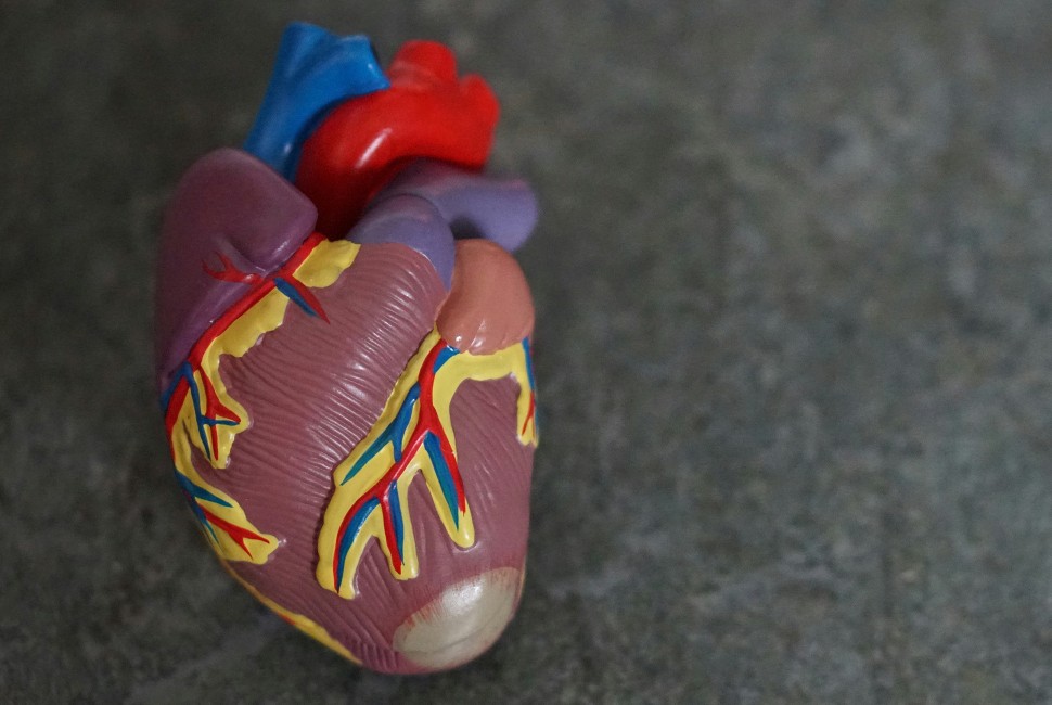 Heart image