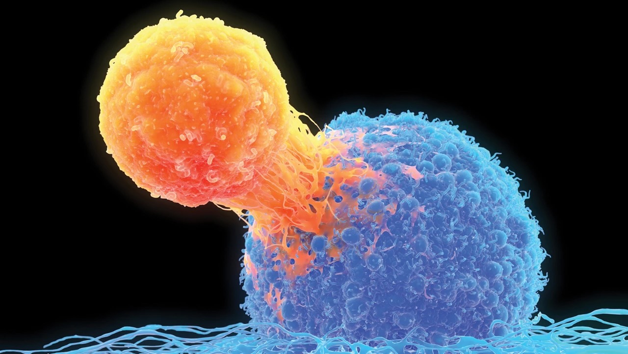 mirkin research - nanomedicine