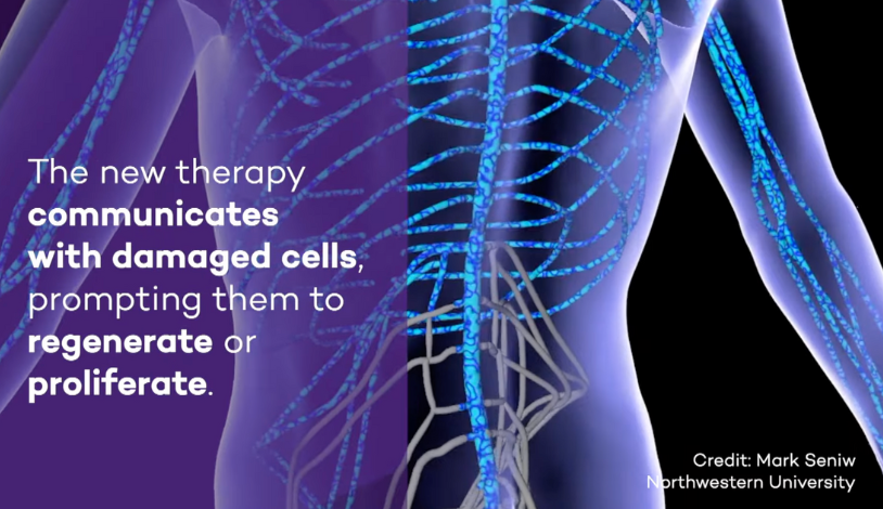 stupp orphan drug designation