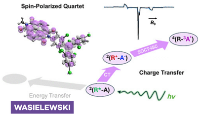 Wasielewski Research
